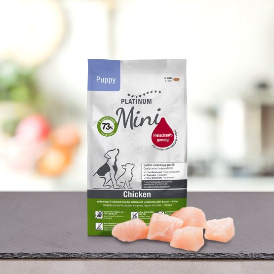 Adulto Mini Puppy 900g