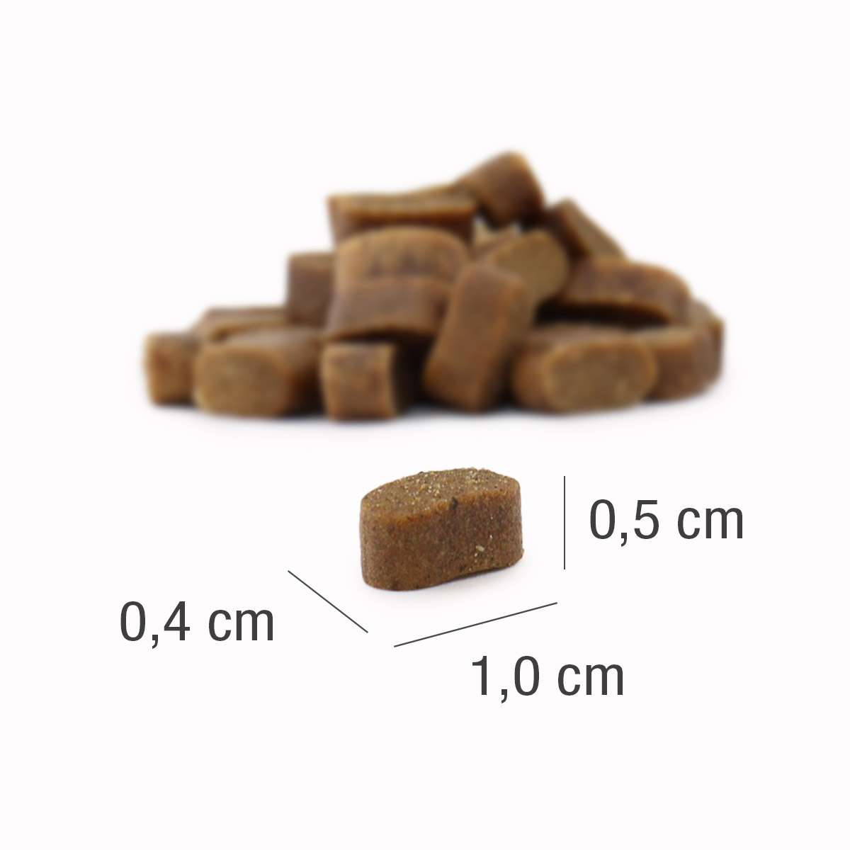 Adulto Mini Puppy 900g