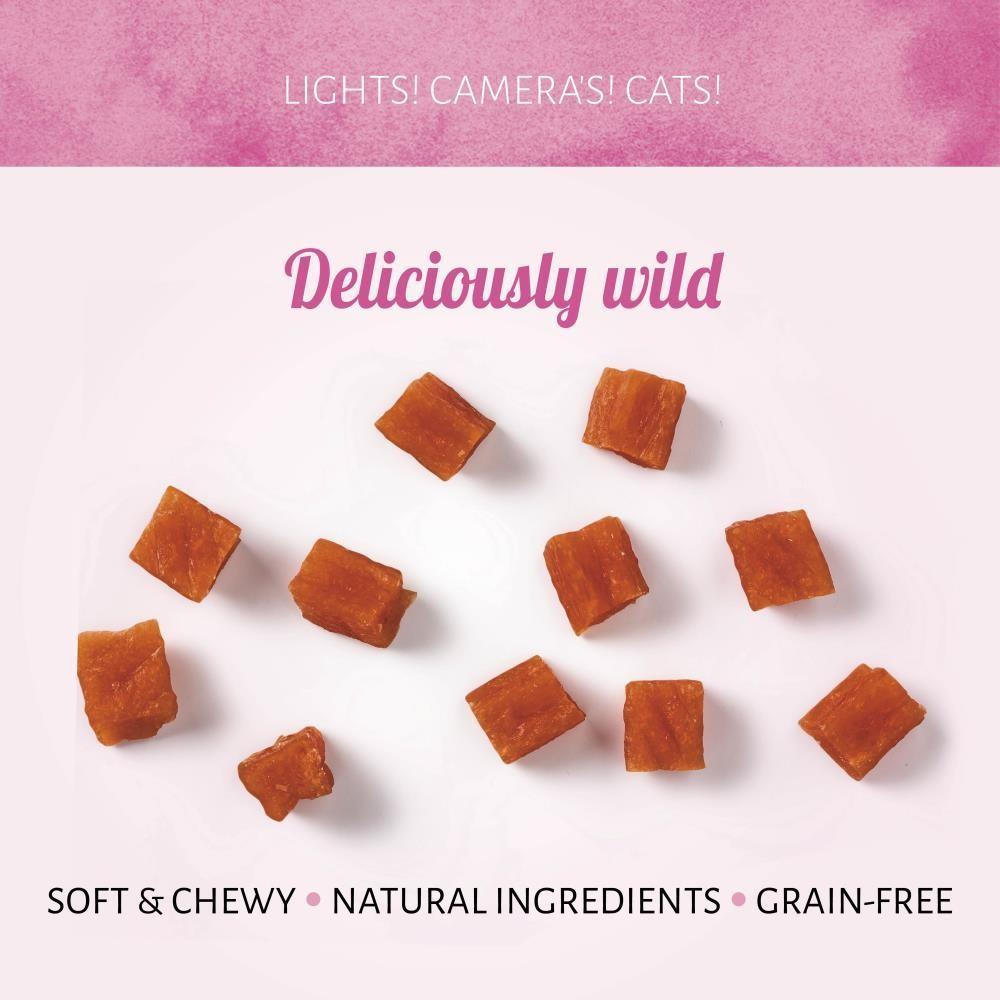 Salmão 50g  (goluseima gato)