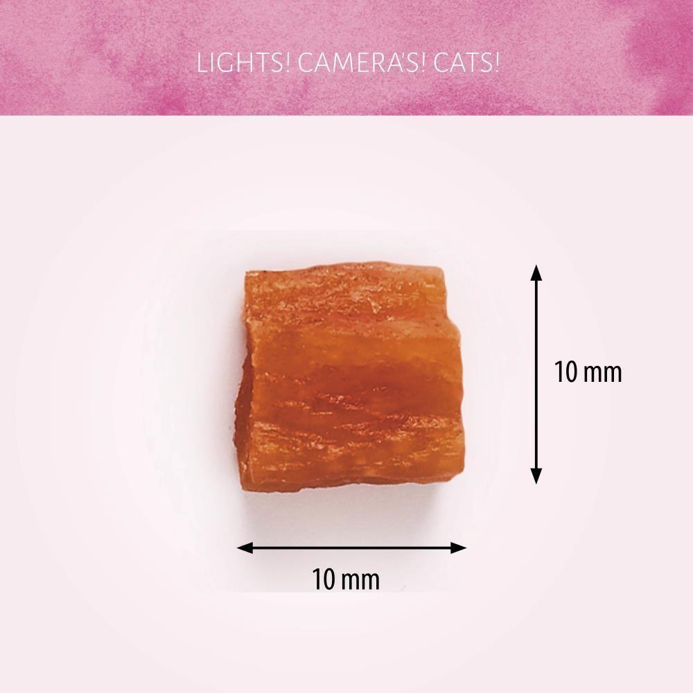 Salmão 50g  (goluseima gato)