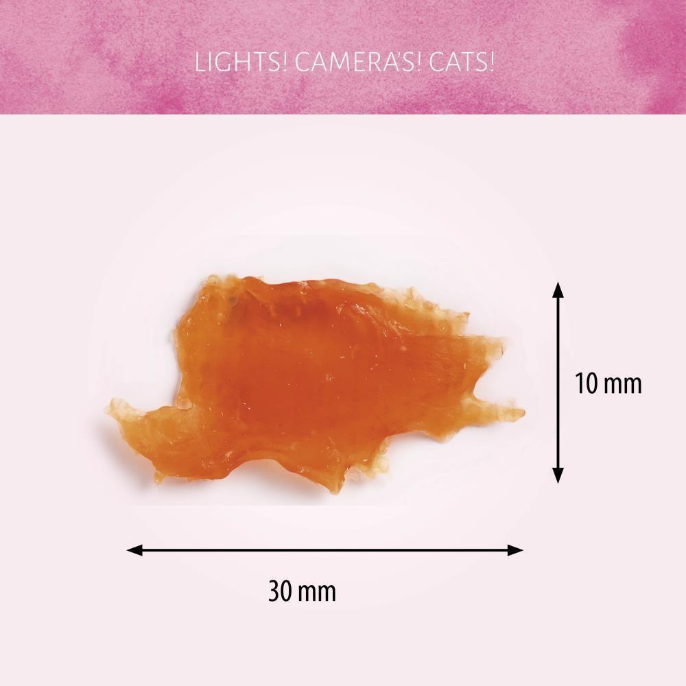 Frango 50g (goluseima gato)