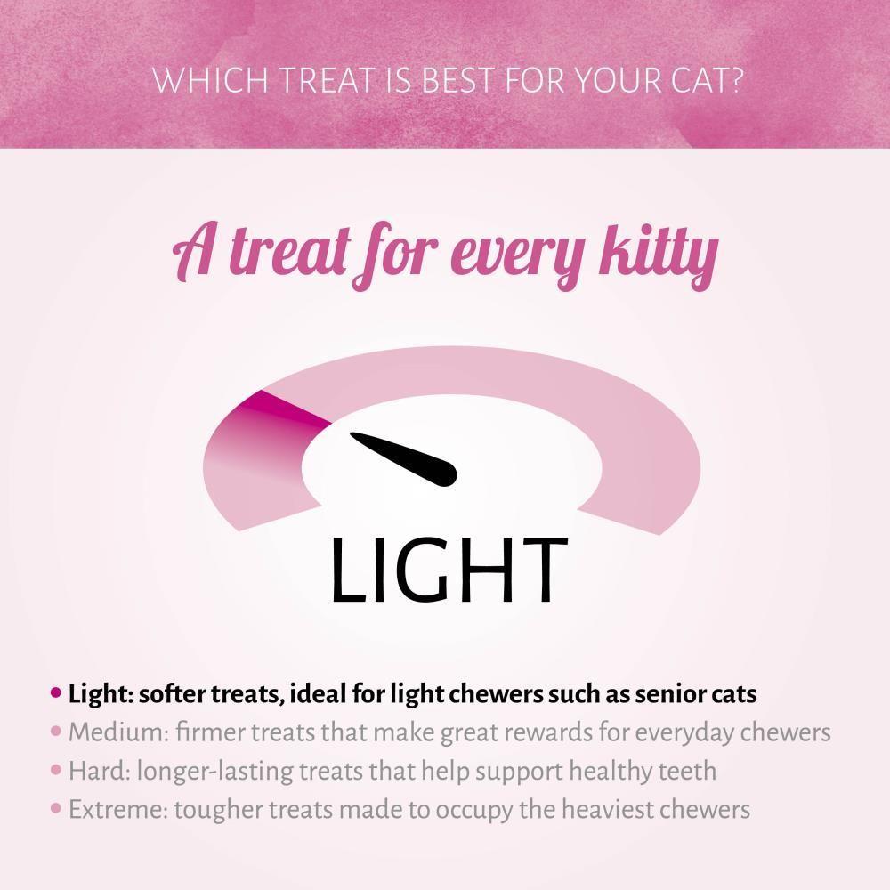 Salmão 50g  (goluseima gato)