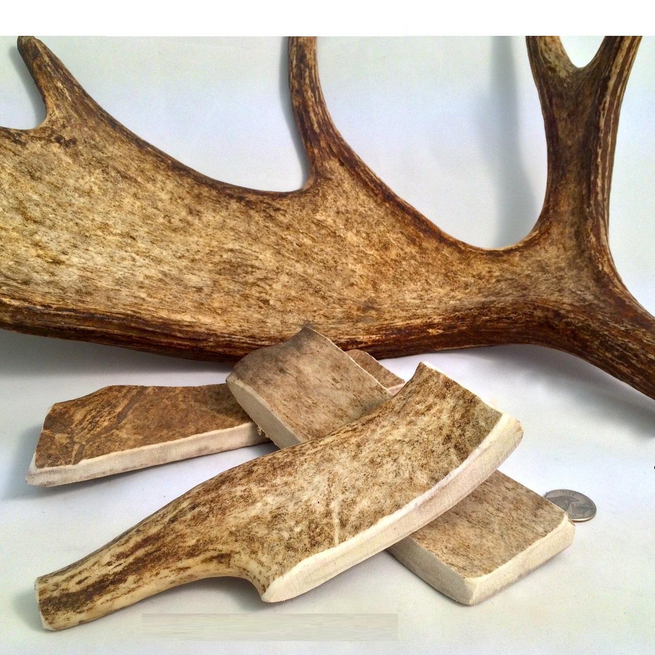 Haste Veado (Fallow)