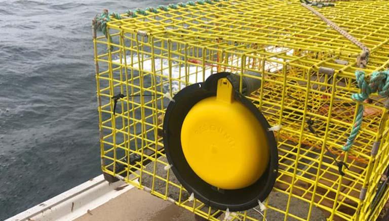 Resqunit-Boia de Sinalização