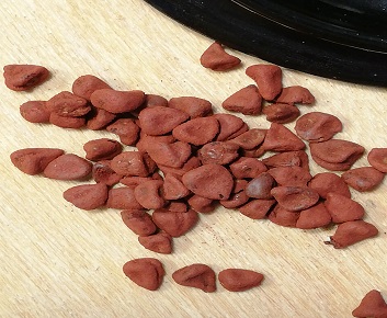 Annatto (Achiote)