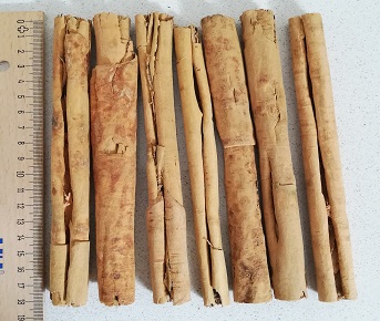 Canela pau 4/0 special