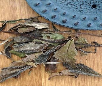 Chá branco Pai Mu Tan