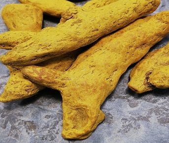 Curcuma raiz