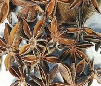 Estrela de anis