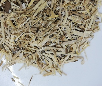 Ginseng siberiano raiz