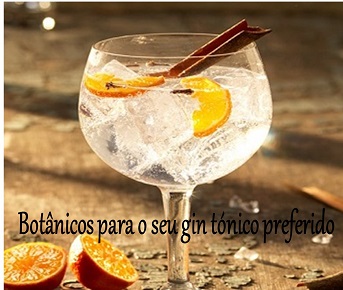 Gin tónico