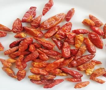 Olho de pássaro malagueta