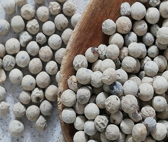 Pimenta branca grão