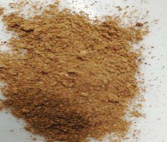 Speculaas