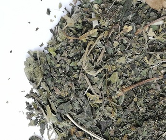 Urtiga verde