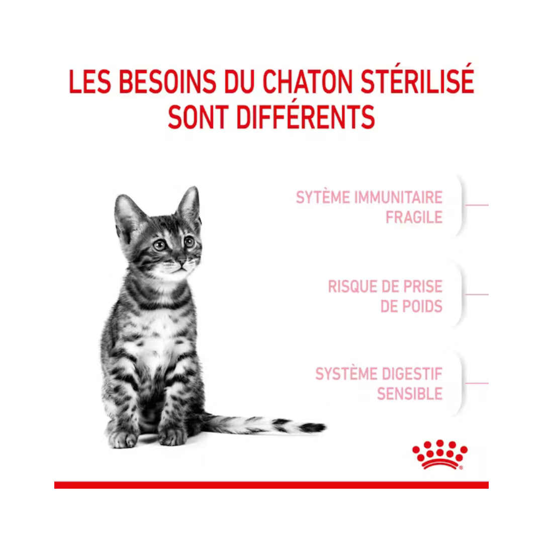 Kitten Sterilised- Aliment Humide- Royal Canin