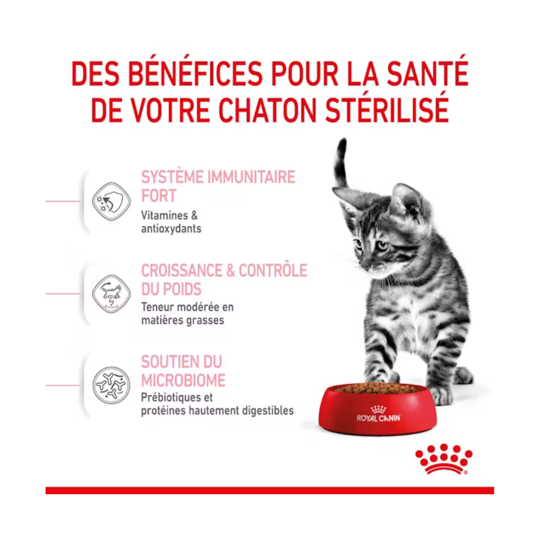 Kitten Sterilised- Aliment Humide- Royal Canin