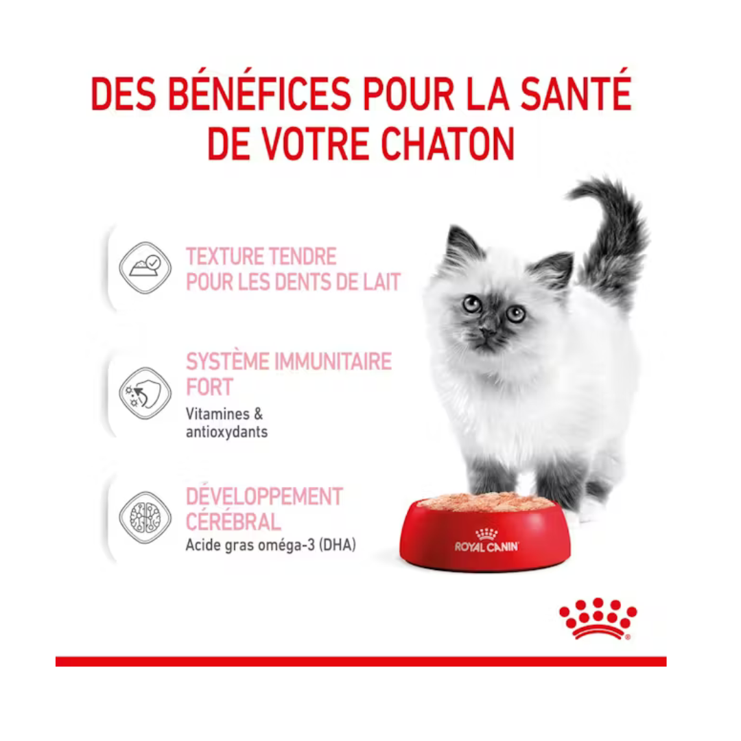 Kitten Mousse 12x85g- Aliment Humide- Royal Canin