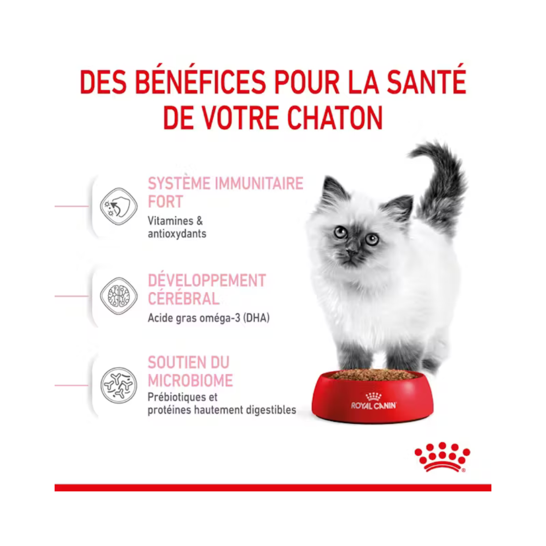 Royal Canin Chaton