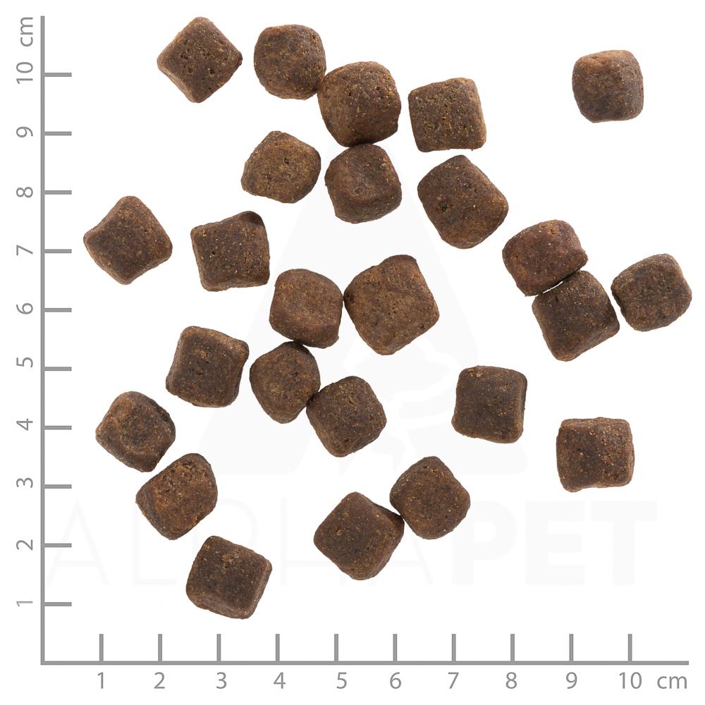 Wolfsblut Adult Dark Forest (2 kg)