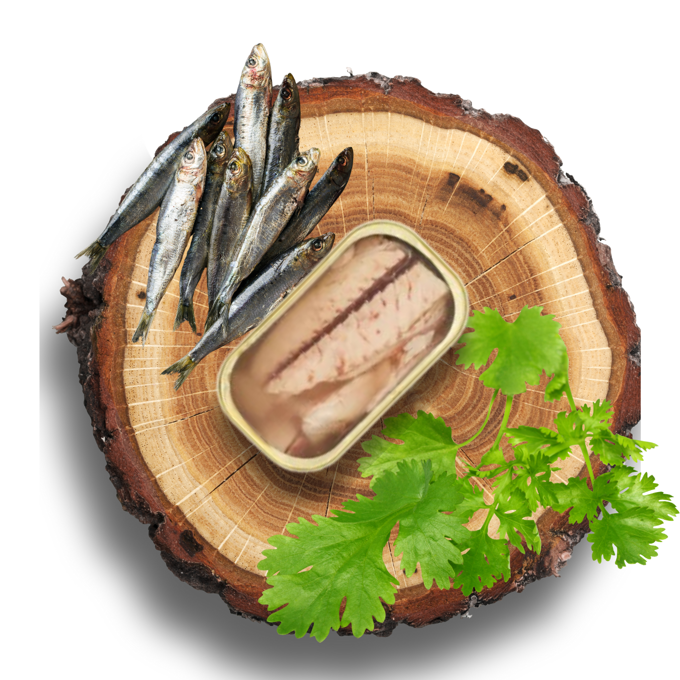 05.1 - Sardine entire - Conserves Artisanales 100% naturelle - CANUMI