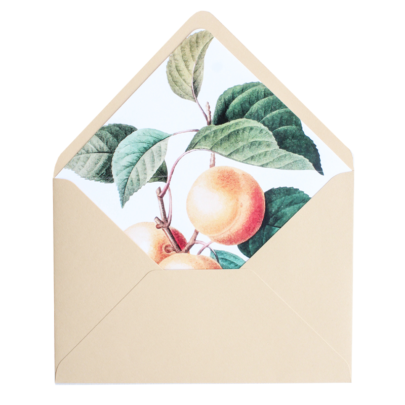 Medium beige + peaches liner