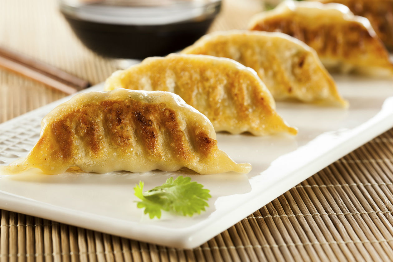 Gyoza Tori-Raviolis Frango/Leg 600g 30ud*