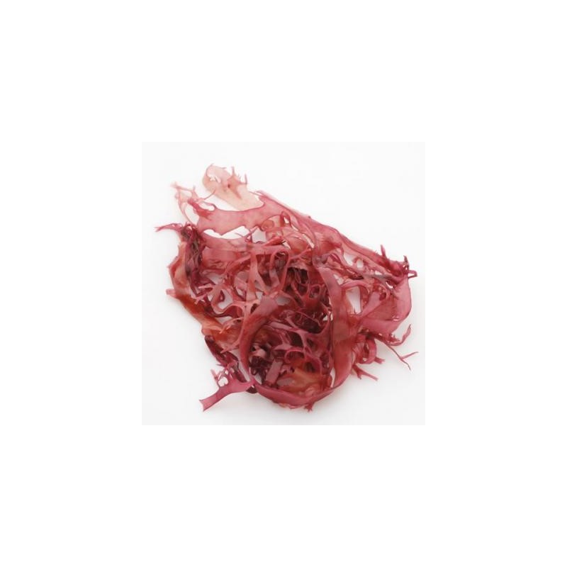 Aka Tosaka / Alga Tosaka vermelha - 1Kg