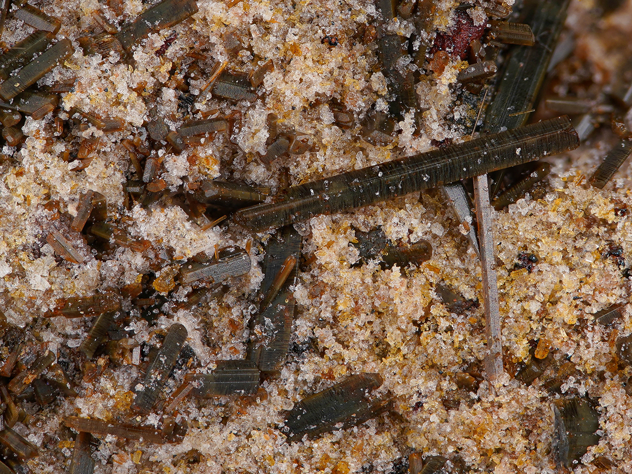 Ferro-hornblende - Nickenicher Sattel