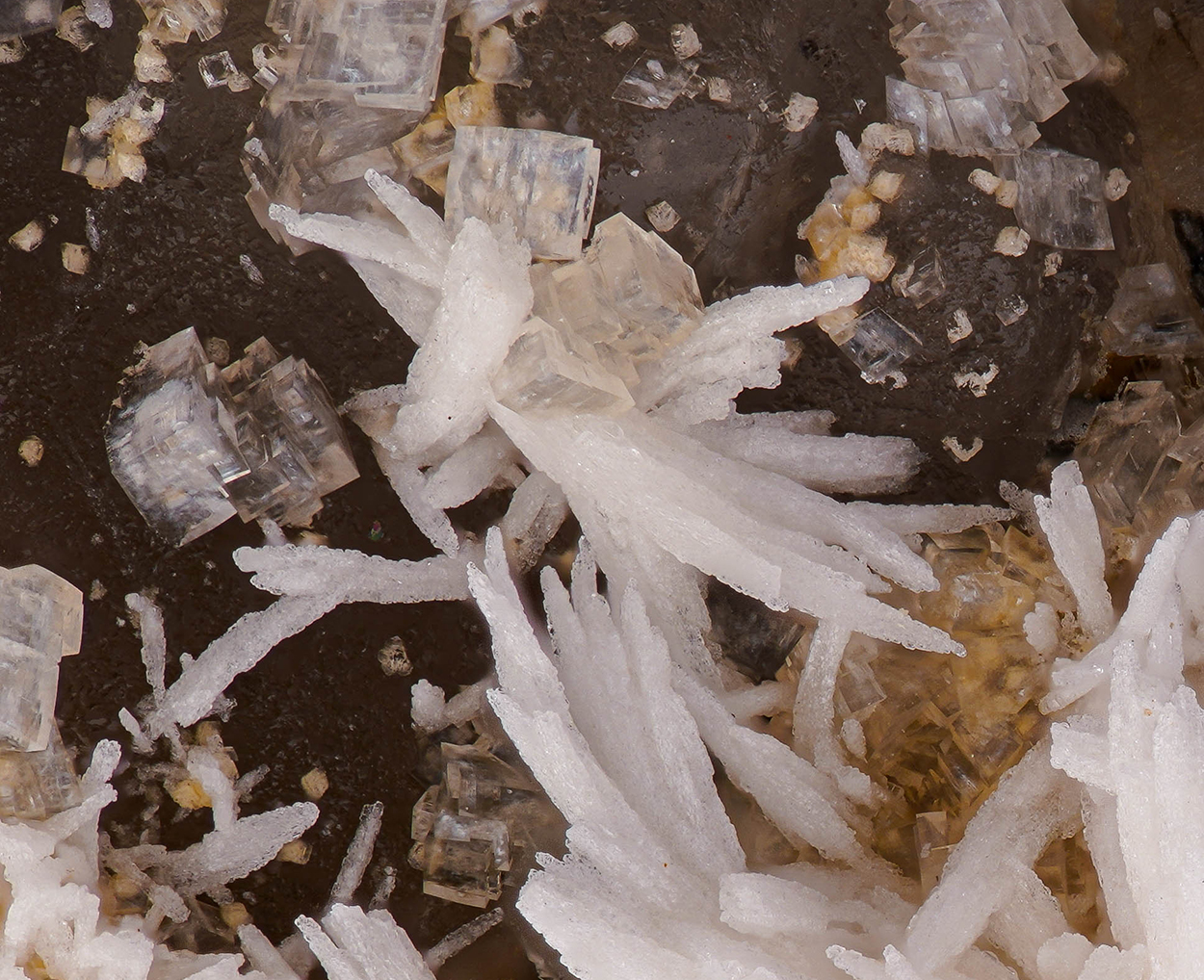 Baryte - Tiefenstein quarry