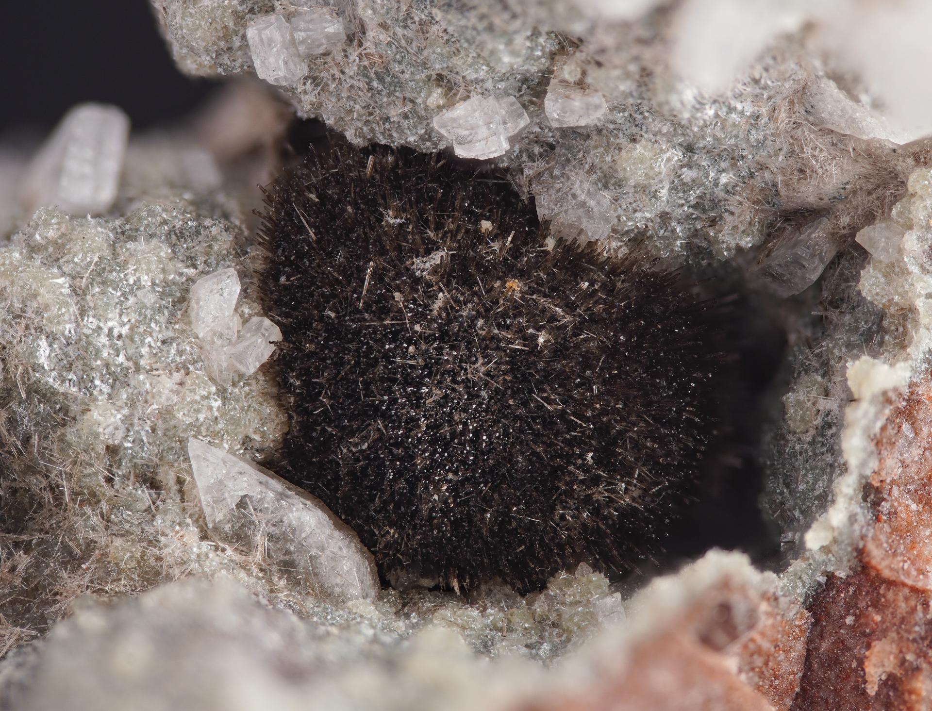 Allanite-(Ce) & epidote - Petersberg quarry
