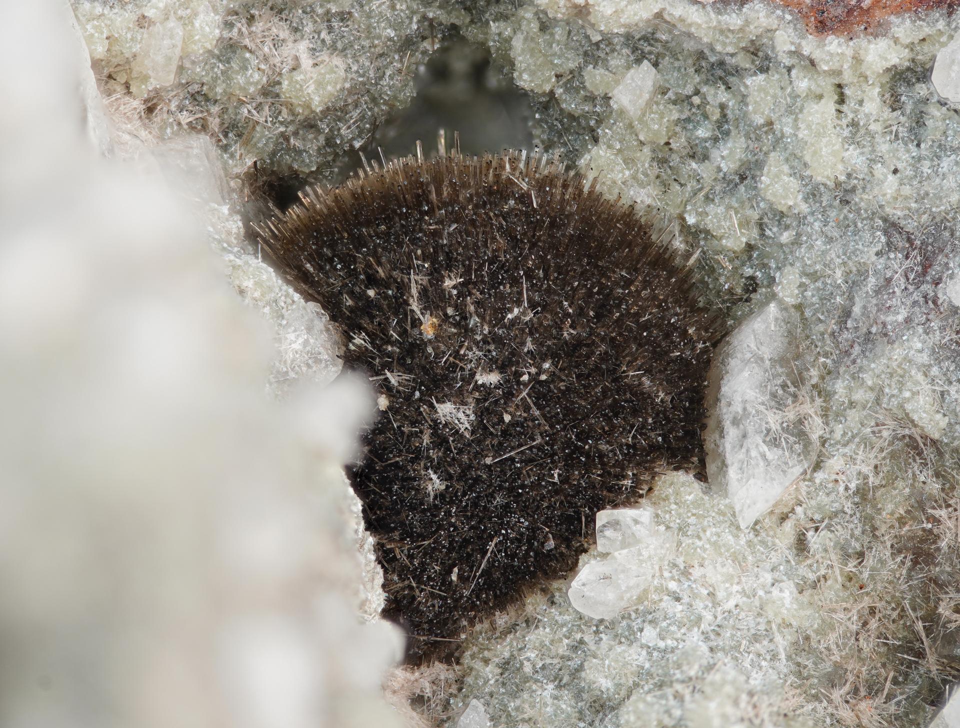Allanite-(Ce) & epidote - Petersberg quarry