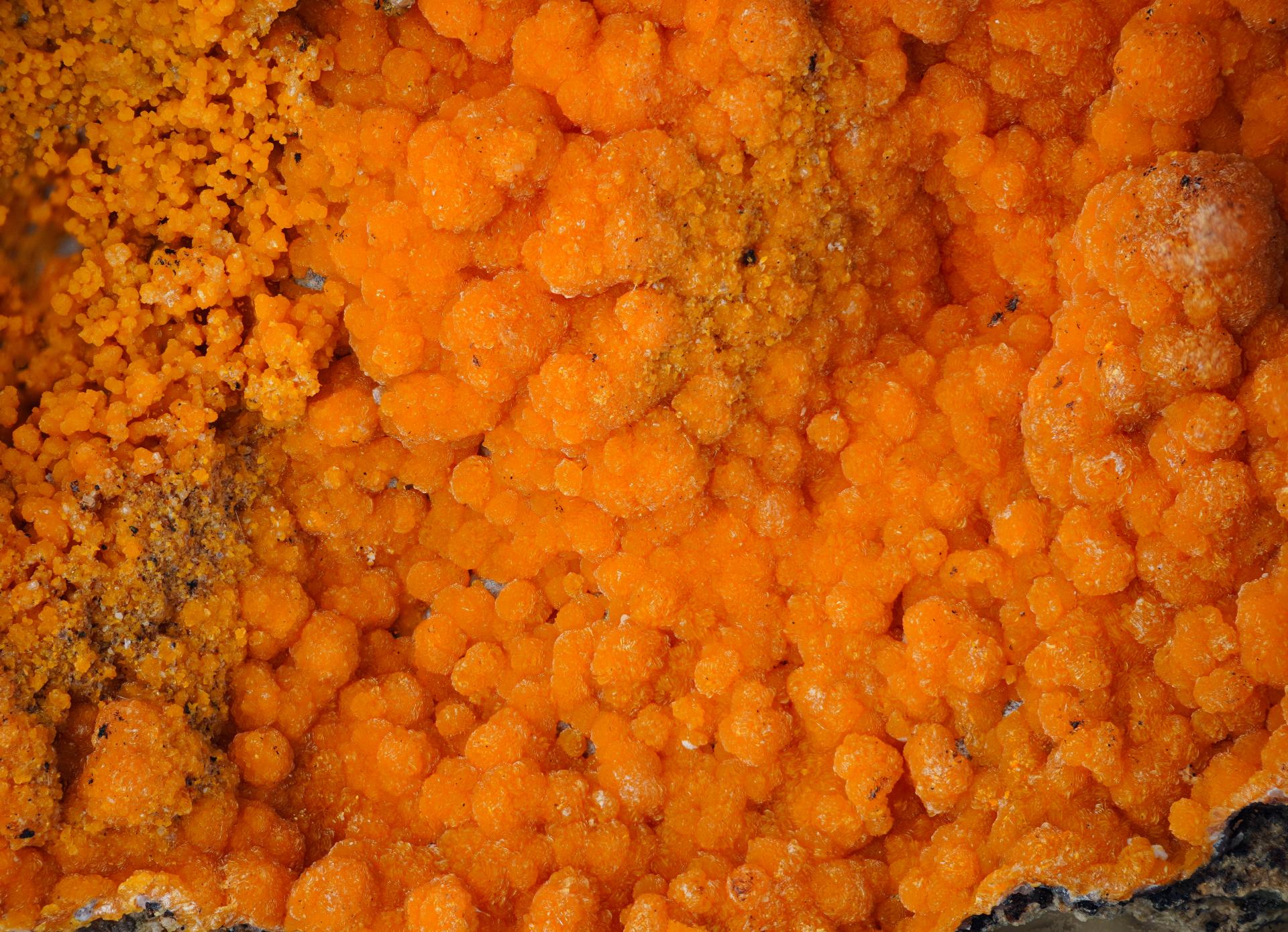 Descloizite - Gelbe Birke