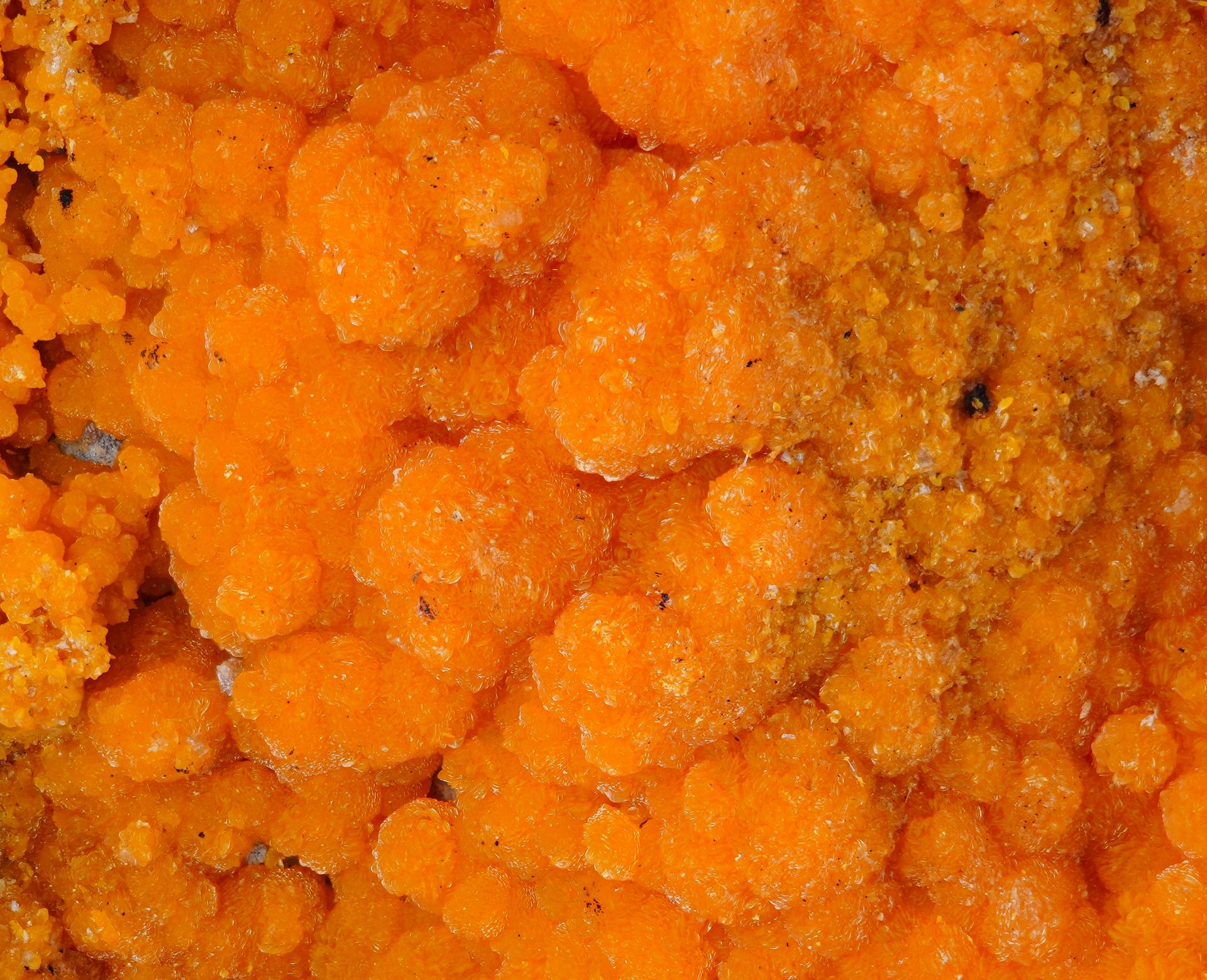 Descloizite - Gelbe Birke