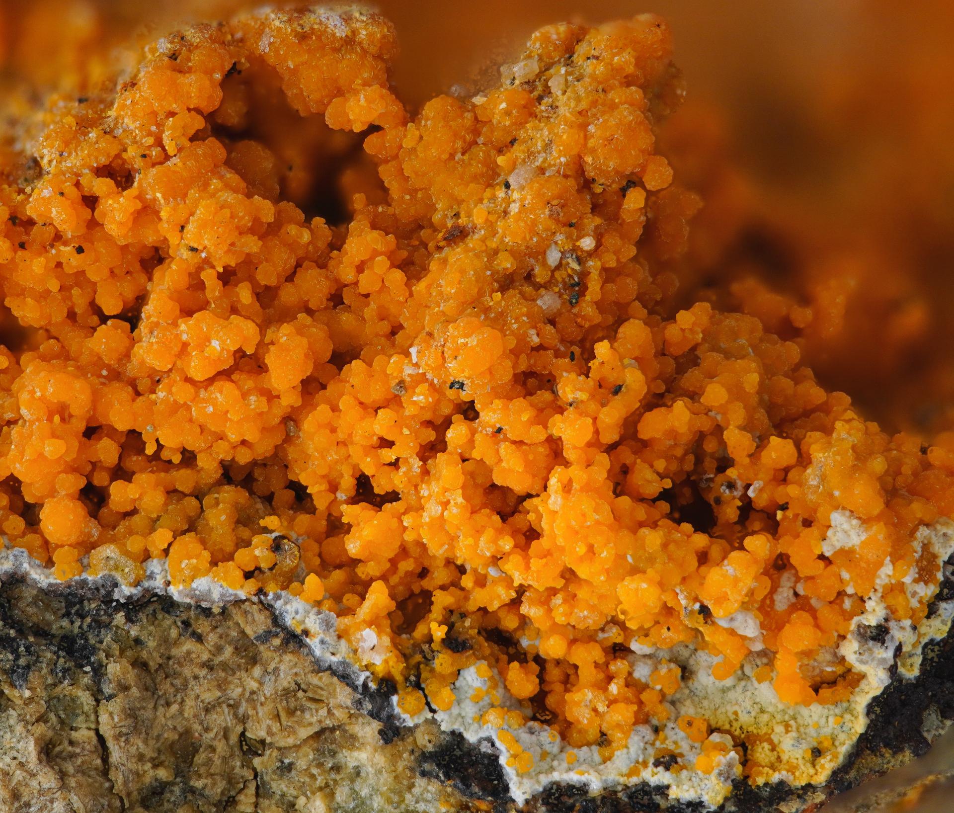 Descloizite - Gelbe Birke