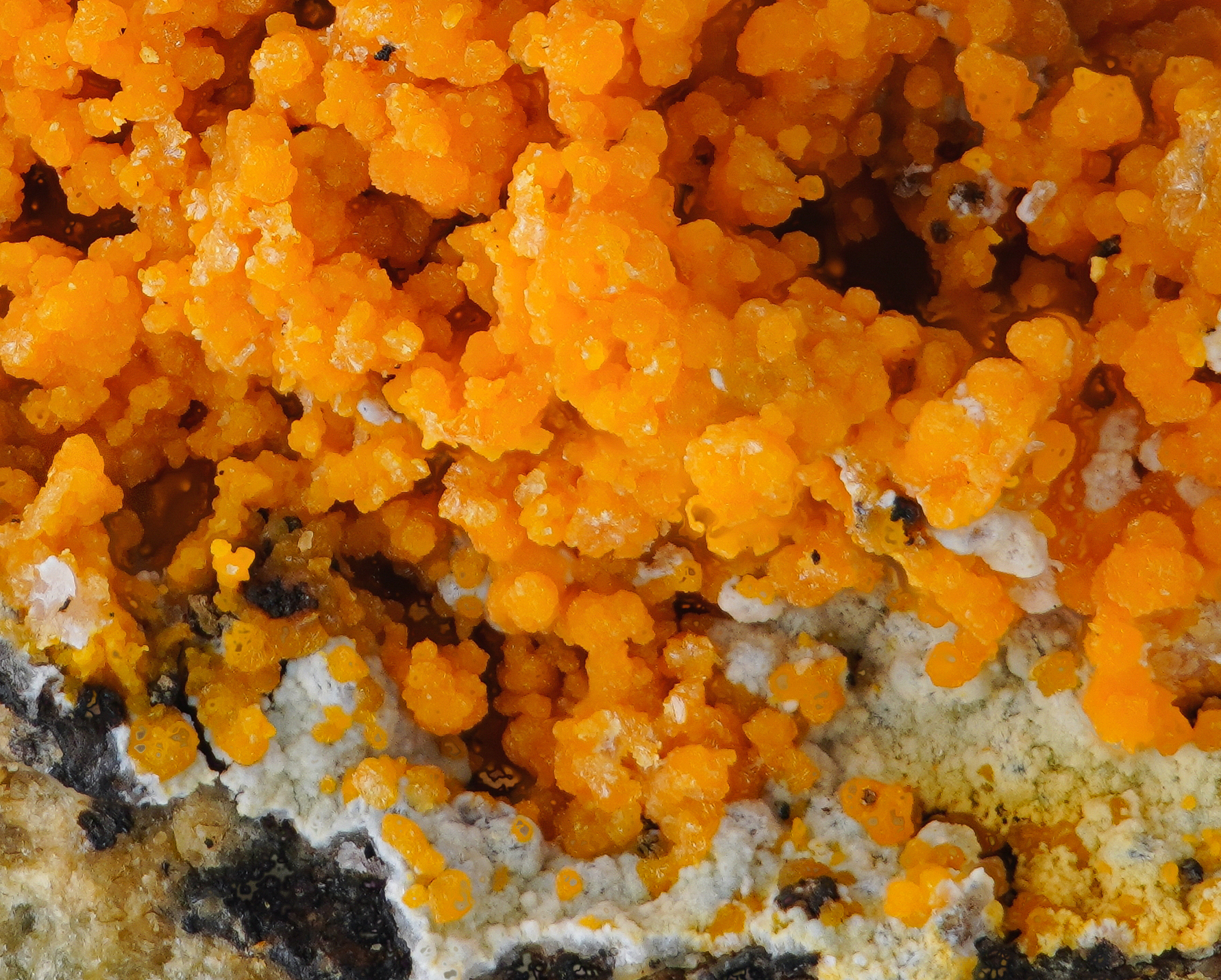 Descloizite - Gelbe Birke