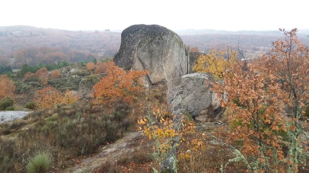 (294) - Mapa Vila do Touro - Portugal 2025