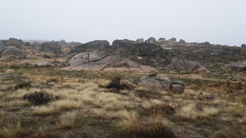 (294) - Mapa Vila do Touro - Portugal 2025