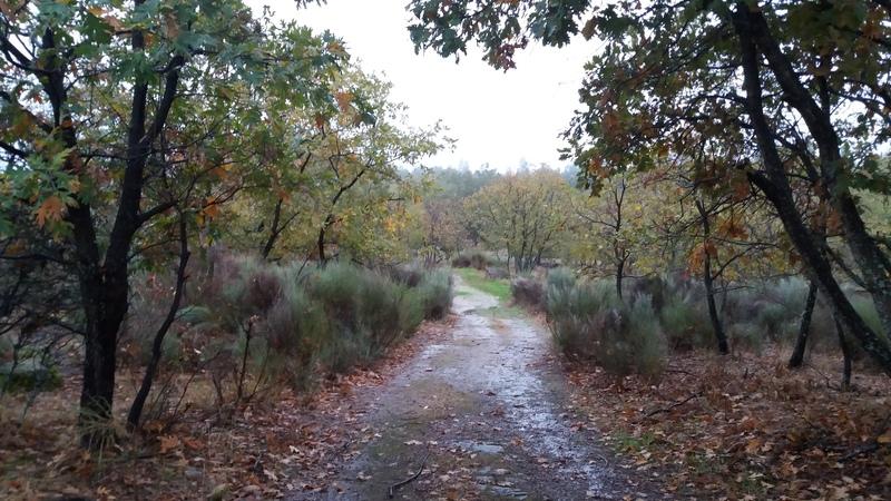 (294) - Mapa Vila do Touro - Portugal 2025