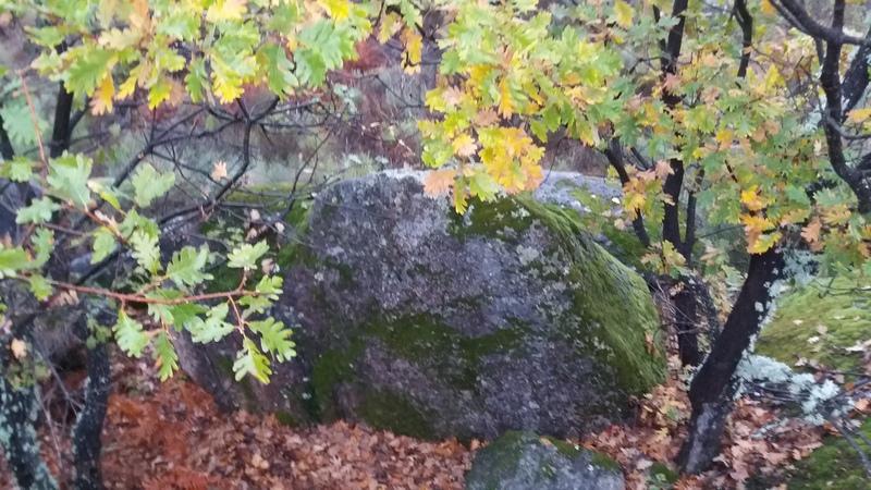 (294) - Mapa Vila do Touro - Portugal 2025