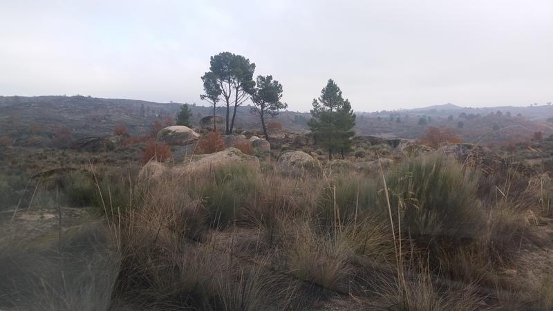 (294) - Mapa Vila do Touro - Portugal 2025