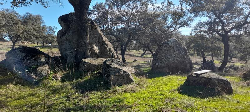 (295) - Mapa La Jarosa Este - Espanha 2025