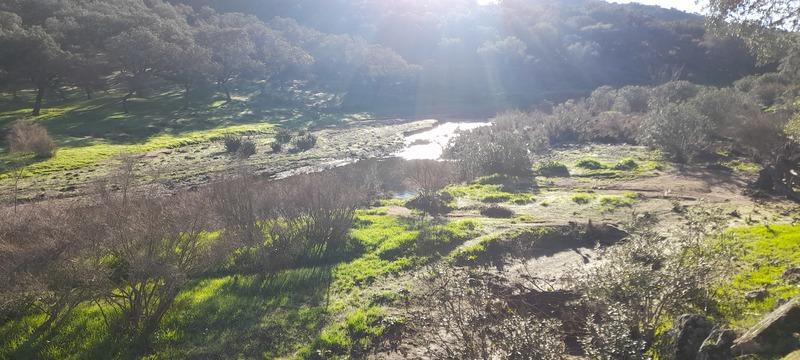 (295) - Mapa La Jarosa Este - Espanha 2025