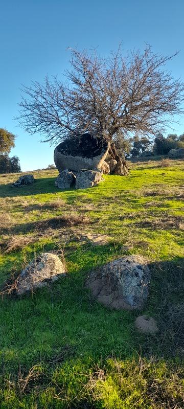 (295) - Mapa La Jarosa Este - Espanha 2025