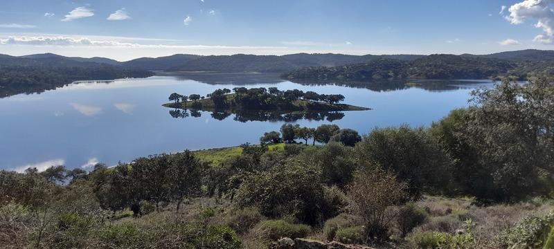 (295) - Mapa La Jarosa Este - Espanha 2025