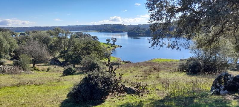 (295) - Mapa La Jarosa Este - Espanha 2025