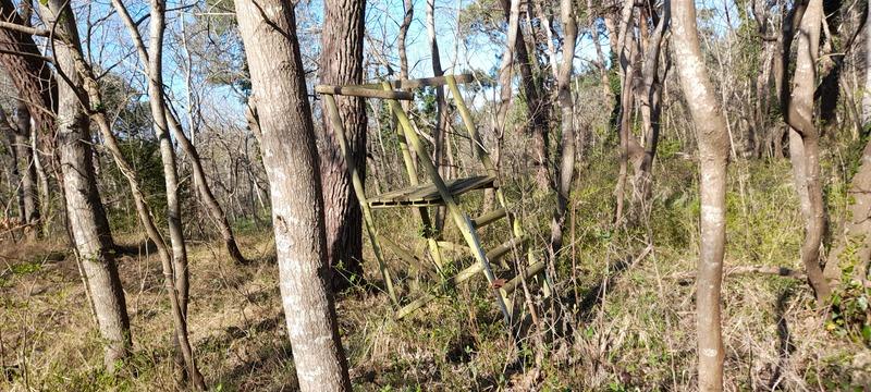 (296) - Mapa Ecault - França 2025