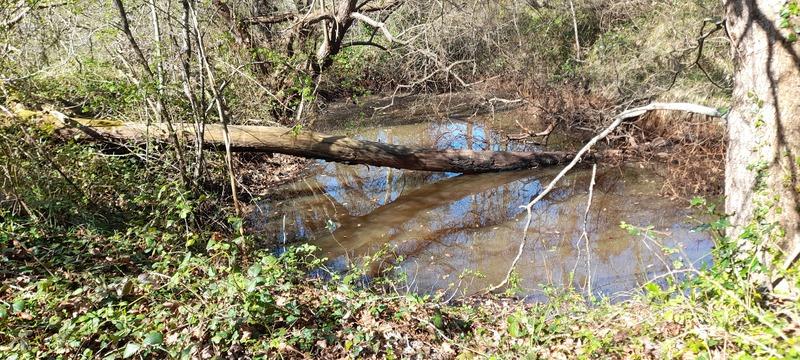 (296) - Mapa Ecault - França 2025