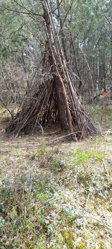 (296) - Mapa Ecault - França 2025