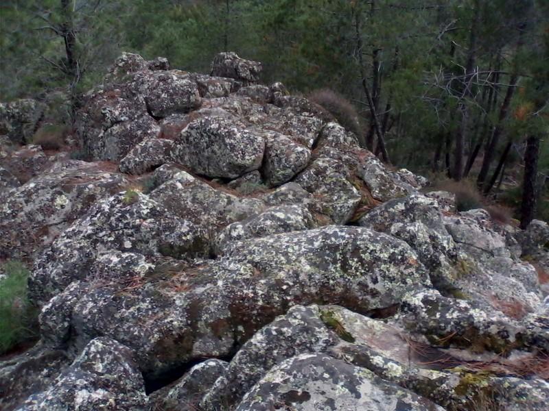 (292) - Mapa Rachã - Portugal 2024